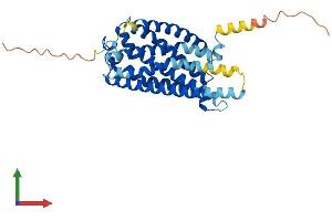 AlphaFold protein structure predicition of Mouse Recombinant P2ry13 Protein, UniprotID Q9D8I2