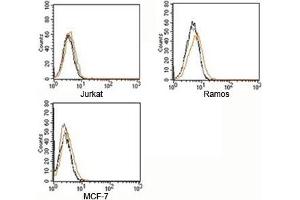 FACS testing of Rabbit IgG isotype control antibody on human samples. (兔 IgG 同型对照)
