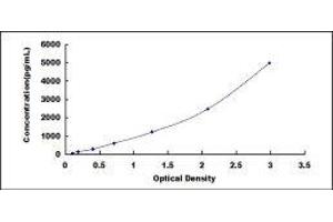 Typical standard curve (APOA4 ELISA 试剂盒)