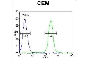 ATP6V0A4 Antibody (Center) (ABIN651562 and ABIN2840303) flow cytometric analysis of CEM cells (right histogram) compared to a negative control cell (left histogram). (ATP6V0A4 抗体  (AA 235-261))