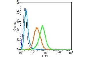 Human U937 cells probed with LAMP-1 Polyclonal Antibody, Unconjugated  (green) at 1:100 for 30 minutes followed by a PE conjugated secondary antibody compared to unstained cells (blue), secondary only (light blue), and isotype control (orange). (LAMP1 抗体  (AA 301-417))