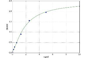 A typical standard curve (BANP ELISA 试剂盒)