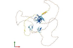 Protein Structure (PS) image for Aprataxin and PNKP Like Factor (APLF) (AA 1-511) protein (His tag) (ABIN7552132)