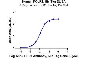 ELISA image for Folate Receptor 1 (Adult) (FOLR1) (AA 25-233) protein (His-Avi Tag) (ABIN7274667)