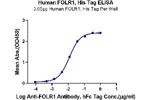 Immobilized Human FOLR1, His Tag at 0. (FOLR1 Protein (AA 25-233) (His-Avi Tag))