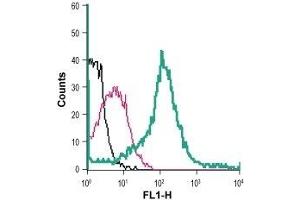 Cell surface detection of Glucose transporter 3 in live intact mouse J774 macrophage cells: (black line) Cells.