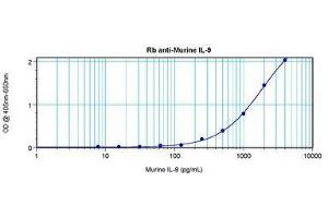 Image no. 3 for anti-Interleukin 9 (IL9) antibody (ABIN465833) (IL-9 抗体)
