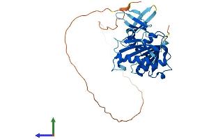 Protein Structure (PS) image for Fibrillarin (FBL) (AA 1-321) protein (His tag) (ABIN7547669)