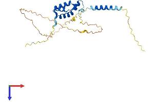 TGIF2 Protein (AA 1-237) (His tag)