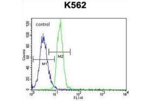 Flow Cytometry (FACS) image for anti-Protein Tyrosine Phosphatase, Non-Receptor Type 20B (PTPN20B) (AA 185-215), (Middle Region) antibody (ABIN954374)