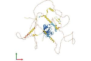 Protein Structure (PS) image for Peptidylprolyl Isomerase G (Cyclophilin G) (PPIG) (AA 1-754) protein (His tag) (ABIN7555076)
