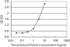 Sandwich ELISA detection sensitivity ranging from 1 ng/mL to 100 ng/mL. (ANKRA2 (人) Matched Antibody Pair)
