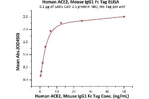ELISA image for Angiotensin I Converting Enzyme 2 (ACE2) (AA 18-740) (Active) protein (mFc Tag) (ABIN7013262)