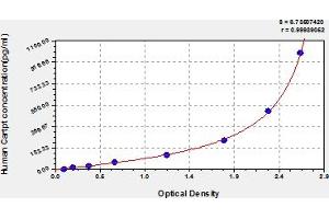 Typical Standard Curve (CARTPT ELISA 试剂盒)