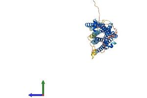 AlphaFold protein structure predicition of Mouse Recombinant Gpr39 Protein, UniprotID Q5U431 (GPR39 Protein (AA 1-456) (His tag))