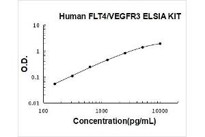 Fms-Related Tyrosine Kinase 4 (FLT4) ELISA Kit