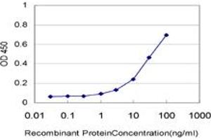 Detection limit for recombinant GST tagged ALDH2 is approximately 1ng/ml as a capture antibody. (ALDH2 抗体  (AA 408-517))