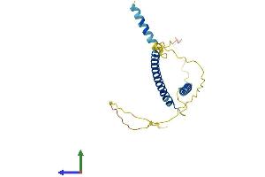 AlphaFold protein structure predicition of Mouse Recombinant Mxd4 Protein, UniprotID Q60948