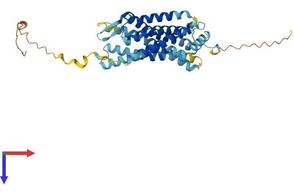 CXCR2 Protein (AA 1-360) (His tag)