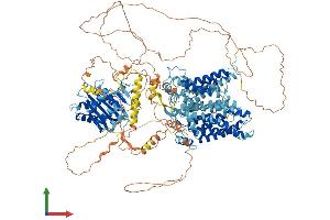 Protein Structure (PS) image for Solute Carrier Family 4, Anion Exchanger, Member 2 (erythrocyte Membrane Protein Band 3-Like 1) (SLC4A2) (AA 1-1237) protein (His tag) (ABIN7562864)