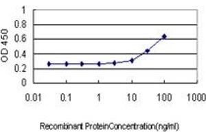 Detection limit for recombinant GST tagged XAB1 is approximately 3ng/ml as a capture antibody. (GPN1 抗体  (AA 9-118))
