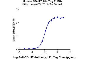 Immobilized Human CDH17, His Tag at 0.