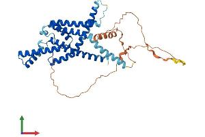 Protein Structure (PS) image for Potassium Channel, Subfamily K, Member 9 (KCNK9) (AA 1-402) protein (His tag) (ABIN7557040)