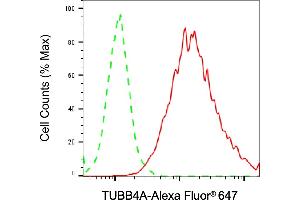Flow cytometric analysis of TUBB4A expression in HAP-1 cells using TUBB4A antibody (ABIN7800659), 1:2,000). (TUBB4 抗体)