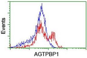 Flow Cytometry (FACS) image for anti-ATP/GTP Binding Protein 1 (AGTPBP1) (AA 368-753) antibody (ABIN1491459) (AGTPBP1 抗体  (AA 368-753))