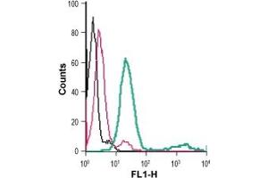 Cell surface detection of P2RY12 in live intact mouse  microglia cells: + rabbit IgG isotype control-FITC.