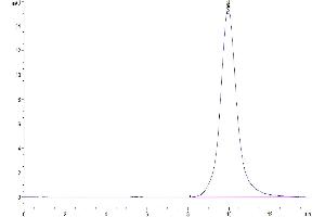 Size-exclusion chromatography-High Pressure Liquid Chromatography (SEC-HPLC) image for EPH Receptor B2 (EPHB2) (AA 19-543) protein (His tag) (ABIN7274553)