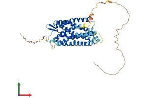AlphaFold protein structure predicition of Human Recombinant P2RY2 Protein, UniprotID P41231