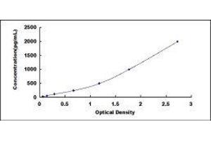 ELISA image for Collagen, Type II, alpha 1 (COL2A1) ELISA Kit (ABIN415267)