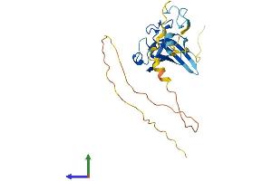 Protein Structure (PS) image for Zinc Finger, CCHC Domain Containing 17 (ZCCHC17) (AA 1-241) protein (His tag) (ABIN7549891)