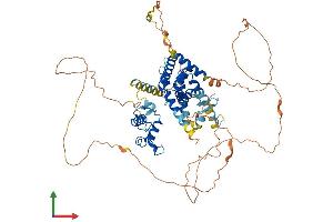 AlphaFold protein structure predicition of Human Recombinant NR1D1 Protein, UniprotID P20393