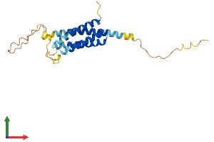 AlphaFold protein structure predicition of Mouse Recombinant Nkain4 Protein, UniprotID Q9JMG4