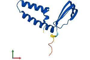 Protein Structure (PS) image for General Transcription Factor IIA, 2, 12kDa (GTF2A2) (AA 1-109) protein (His tag) (ABIN7558459)