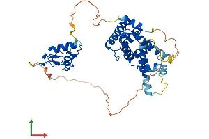 Protein Structure (PS) image for Nuclear Receptor Subfamily 2, Group F, Member 6 (NR2F6) (AA 1-390) protein (His tag) (ABIN7563256)