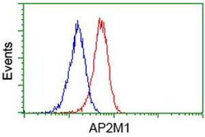 Flow cytometric Analysis of Jurkat cells, using anti-AP2M1 antibody (ABIN2454663), (Red), compared to a nonspecific negative control antibody, (Blue). (AP2M1 抗体  (AA 97-383))
