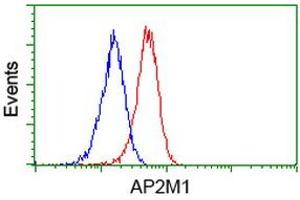 Flow cytometric Analysis of Jurkat cells, using anti-AP2M1 antibody (ABIN2454663), (Red), compared to a nonspecific negative control antibody, (Blue). (AP2M1 抗体  (AA 97-383))