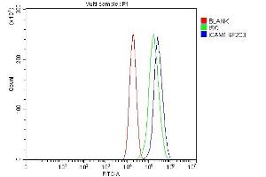 Flow Cytometry analysis of Caco-2 cells using anti-ICAM1 antibody (ABIN7601066). (ICAM1 抗体  (AA 28-268))