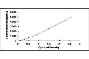 ELISA image for Platelet-Derived Growth Factor Receptor-Like (PDGFRL) ELISA Kit (ABIN426117)