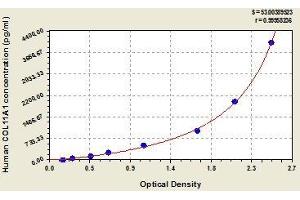COL11A1 ELISA 试剂盒
