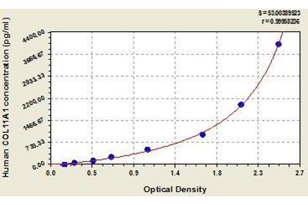 COL11A1 ELISA 试剂盒