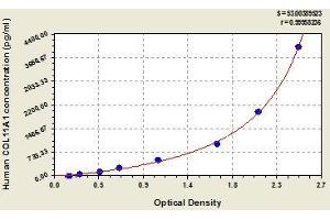 Typical standard curve (COL11A1 ELISA 试剂盒)