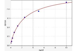 Typical standard curve (SYCN ELISA 试剂盒)