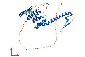 Protein Structure (PS) image for Tetratricopeptide Repeat Domain 1 (TTC1) (AA 1-292) protein (His tag) (ABIN7544758)