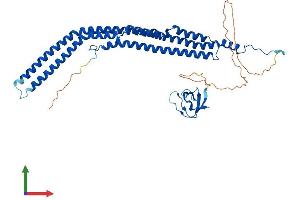 Protein Structure (PS) image for Protein Kinase C and Casein Kinase Substrate in Neurons 1 (PACSIN1) (AA 1-444) protein (His tag) (ABIN7554849)