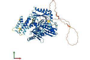 AlphaFold protein structure predicition of Human Recombinant HPS1 Protein, UniprotID Q92902