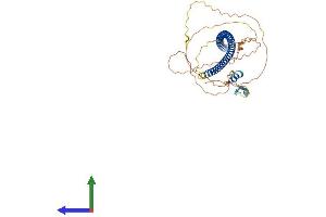 Protein Structure (PS) image for Zinc Finger Protein 365 (ZNF365) (AA 1-407) protein (His tag) (ABIN7545799)